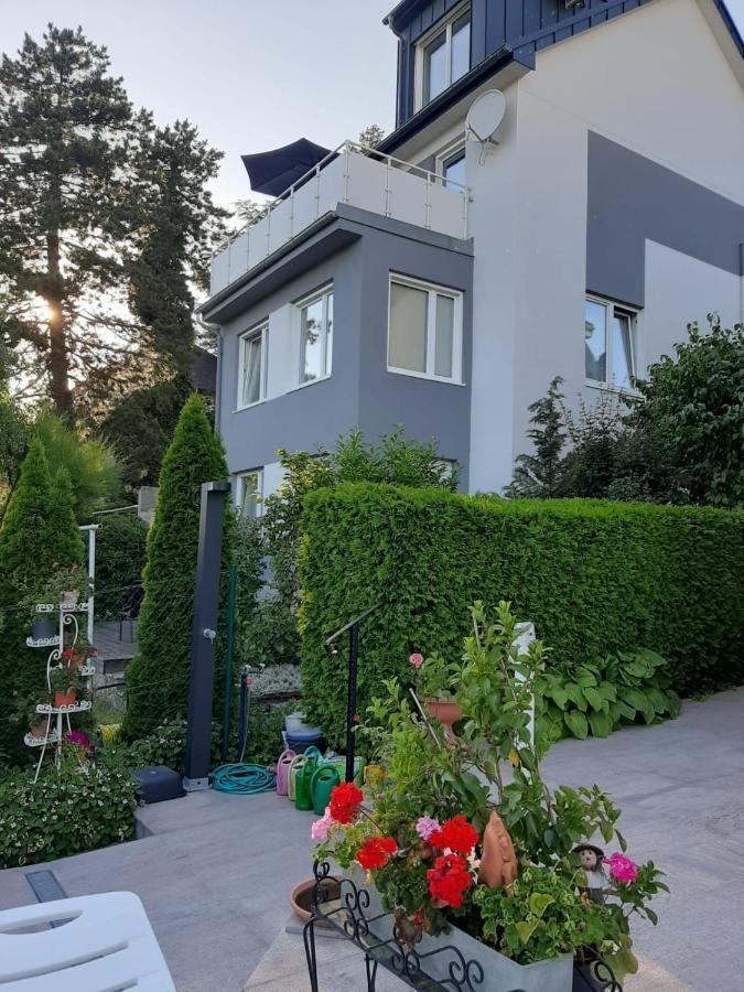 Haus Apricum - Schoen Wohnen & Gratis Parken ウィーン エクステリア 写真