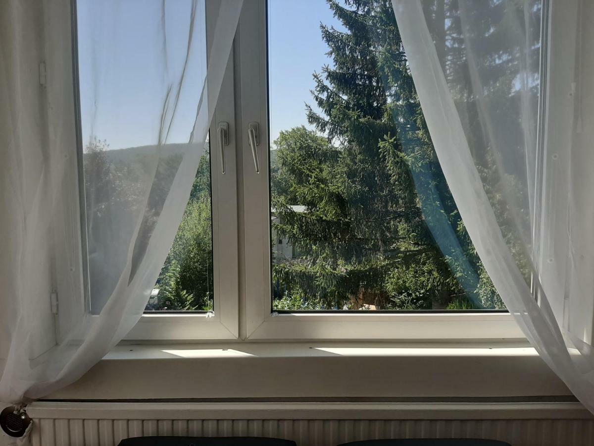 Haus Apricum - Schoen Wohnen & Gratis Parken ウィーン エクステリア 写真